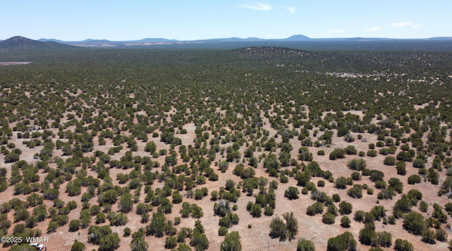 DJI_0169
