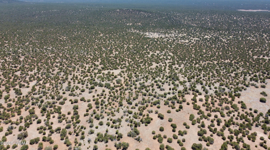 DJI_0170