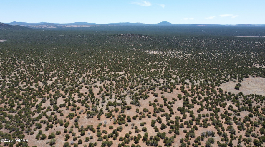 DJI_0171