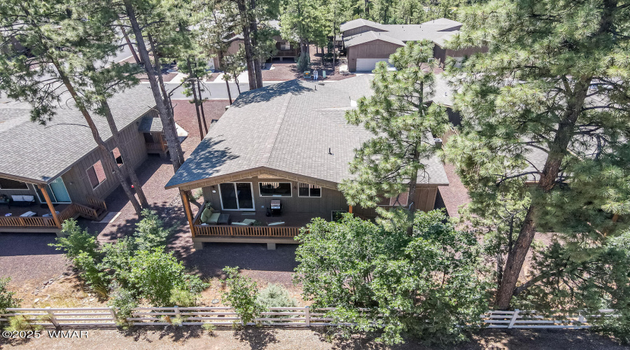 Aerial of back