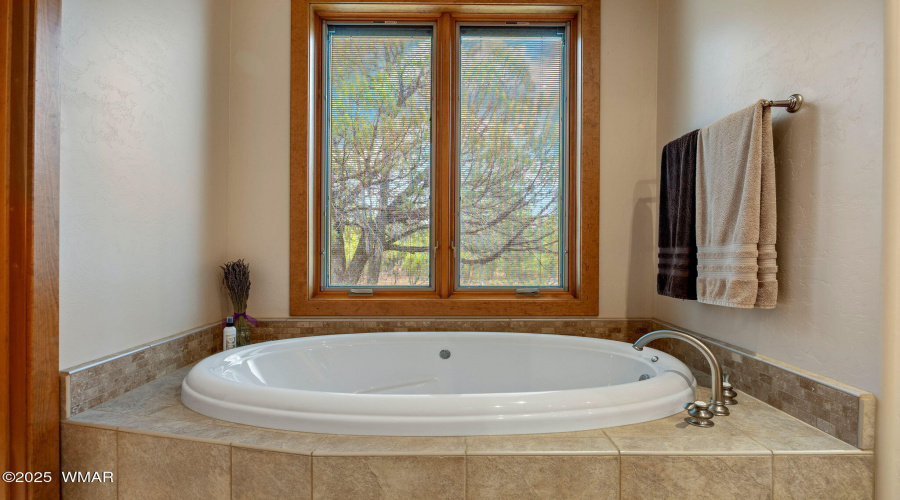 2787AirParkDr-Overgaard-AZ-20