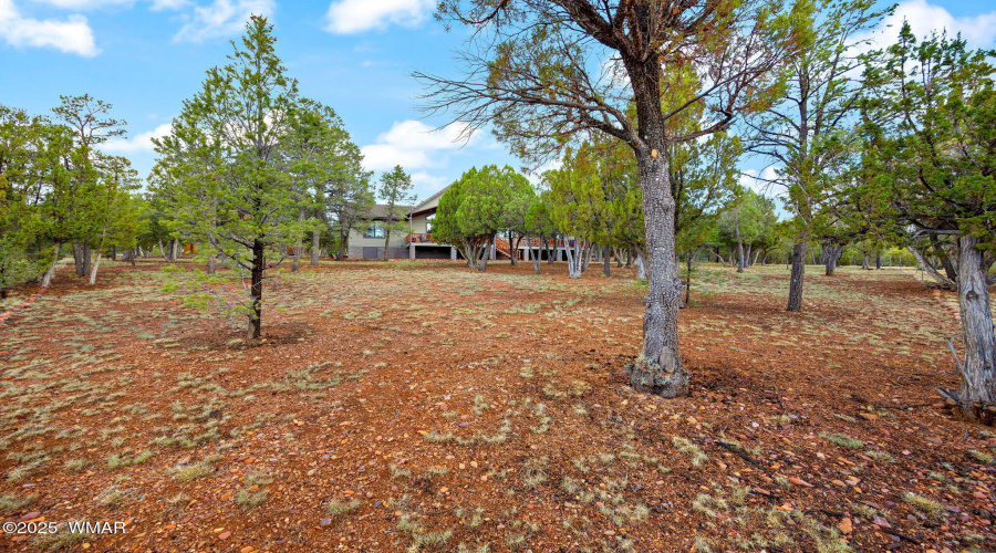 2787AirParkDr-Overgaard-AZ-32