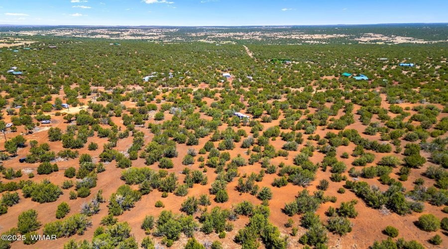 9071ChimisaRanchRd-ShowLow-AZ-7