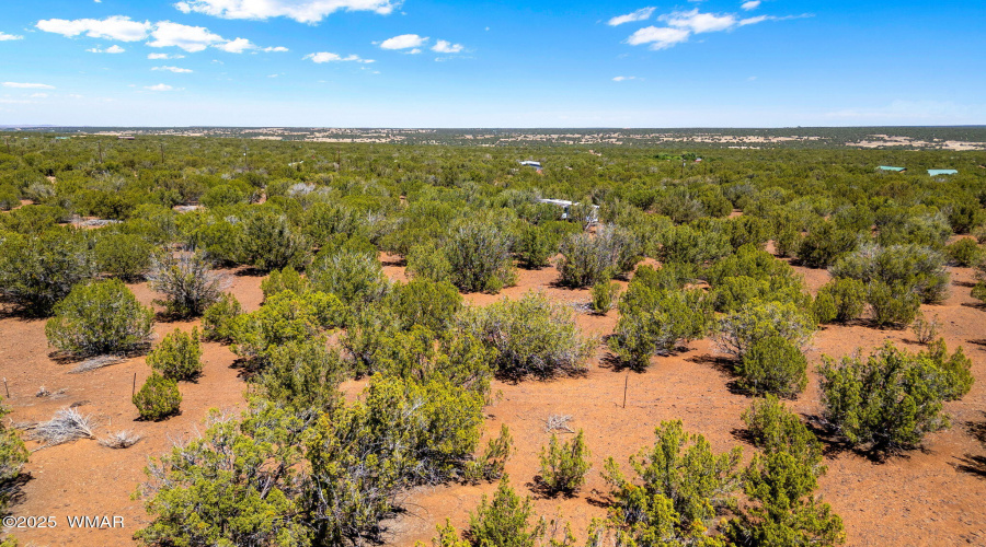 9071ChimisaRanchRd-ShowLow-AZ-14