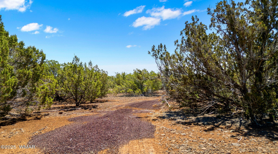 9071ChimisaRanchRd-ShowLow-AZ-15