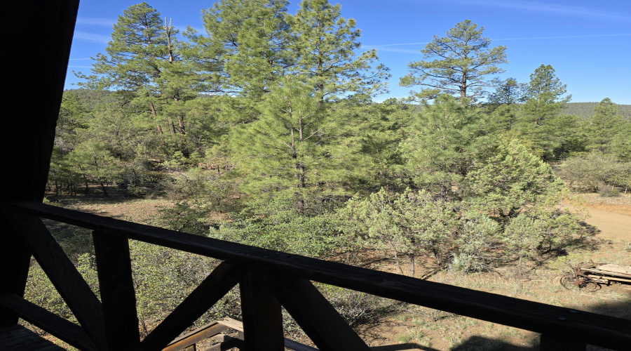 Loft View twd TNForest