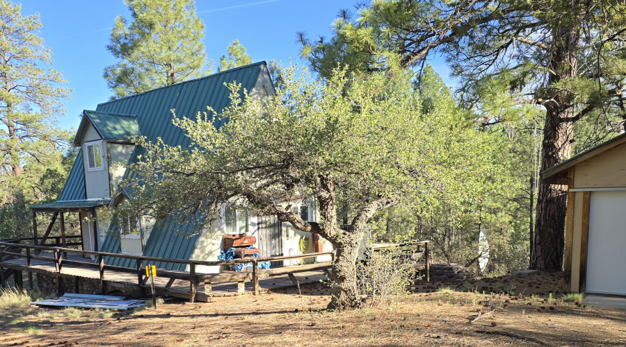 Cabin & Strg Shed