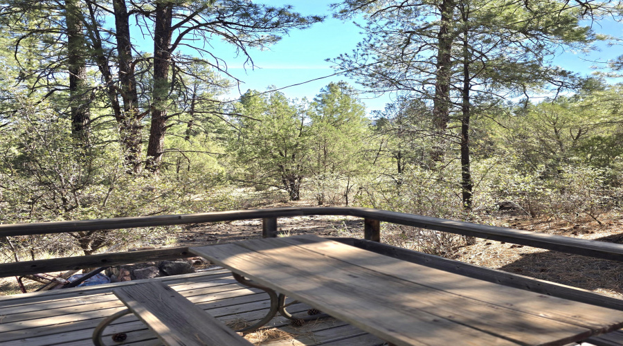 Porch Picnic Table View of 2 Acres
