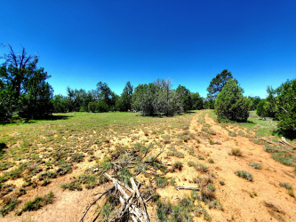 1-20250730_110021_resized