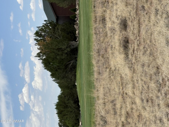 Fairway-Green Picture