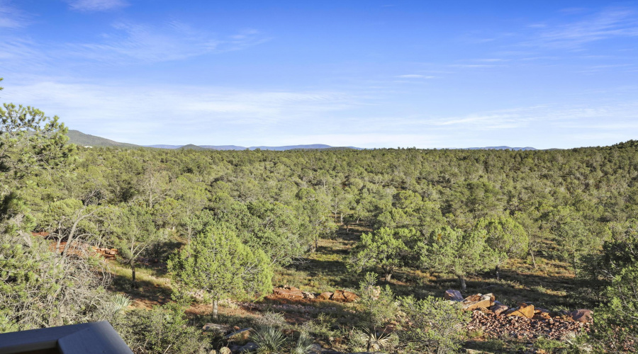 National Forest