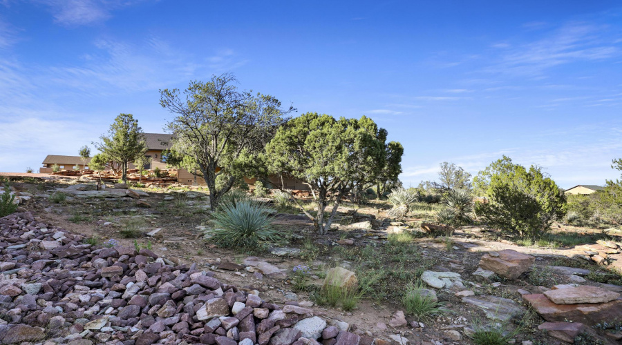 Firewise Backyard