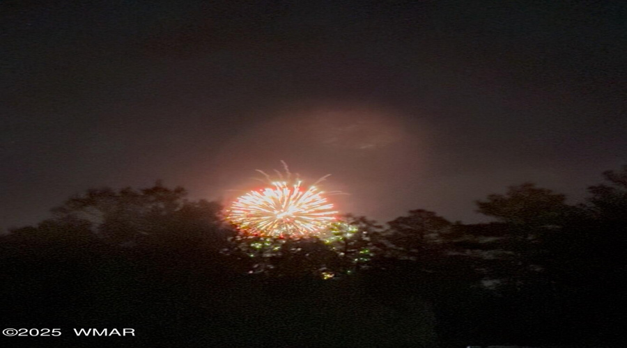 Fireworks from the Driveway