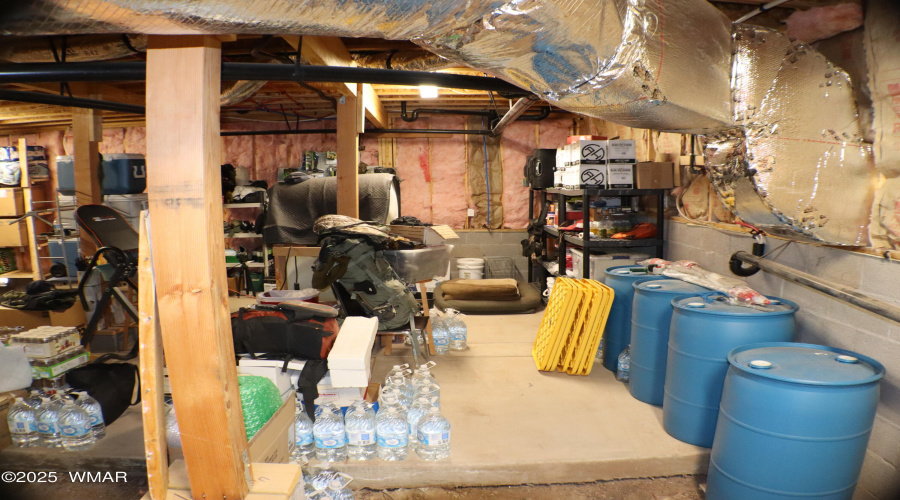 Crawlspace - storage galore