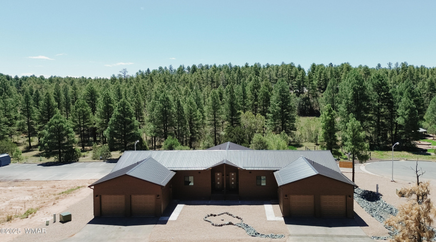 Pine Forest Views