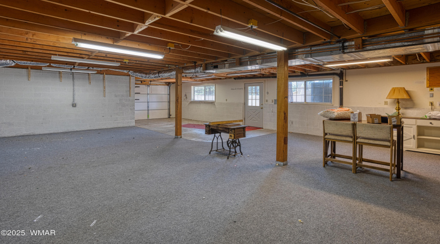 Basement2