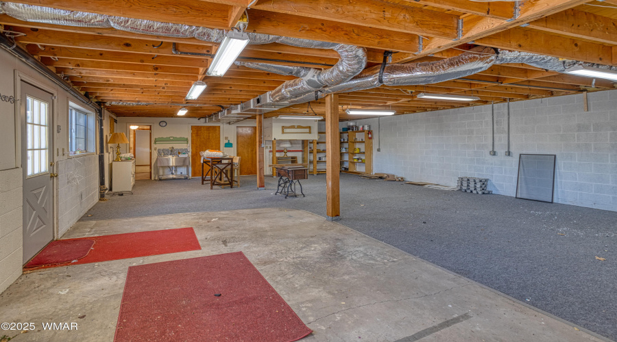 Basement1