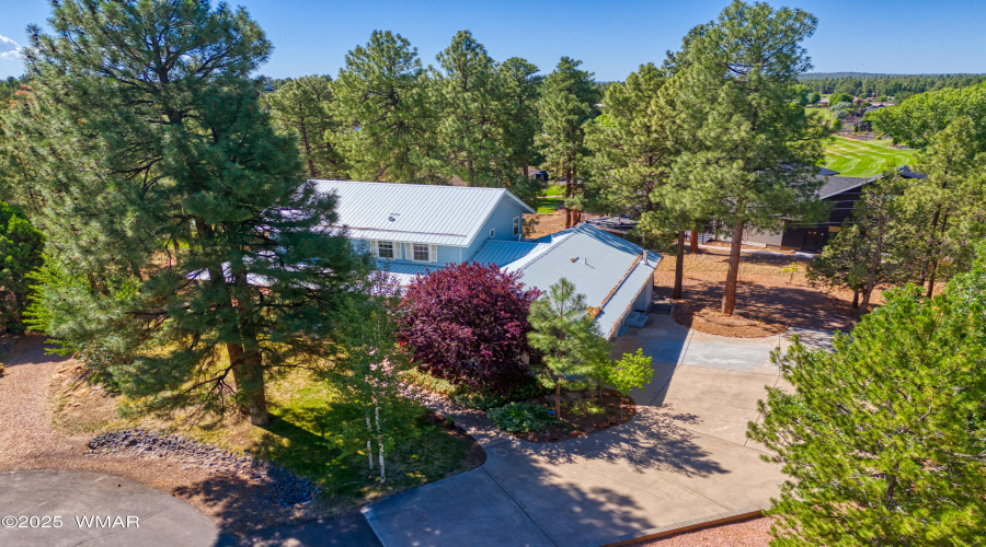 Drone Driveway