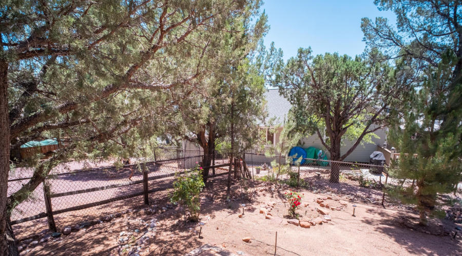 Rear yard