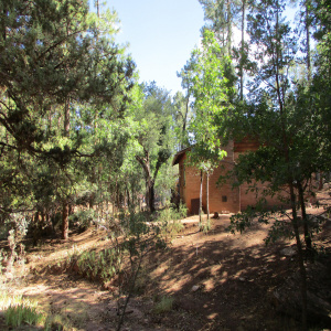 6413 Barton Dr
