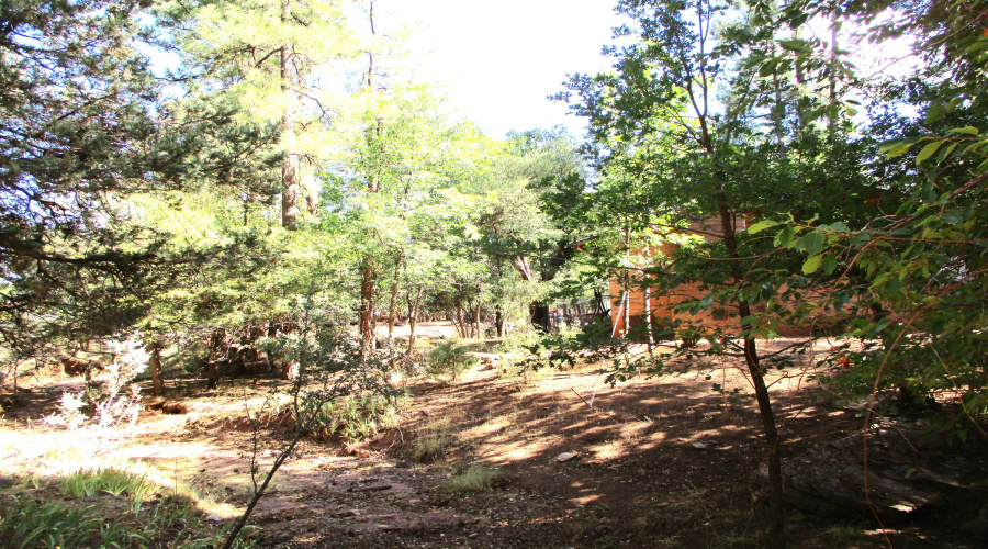 Cabin from BartonDr