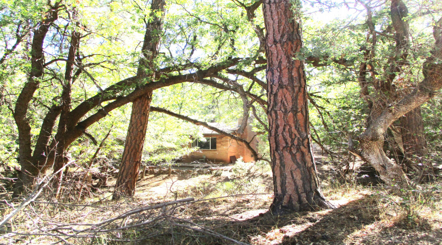 Cabin from Corner