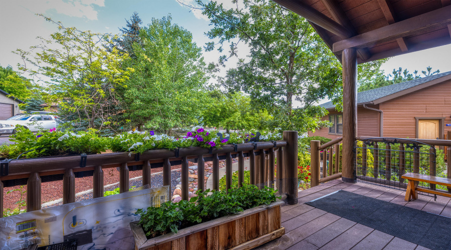 Front Patio