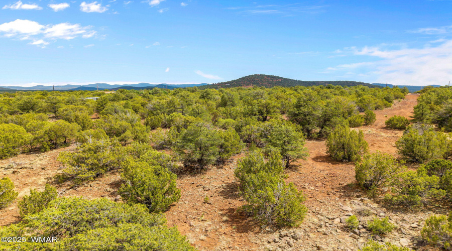 Parcel10654004C-Vernon-AZ-14