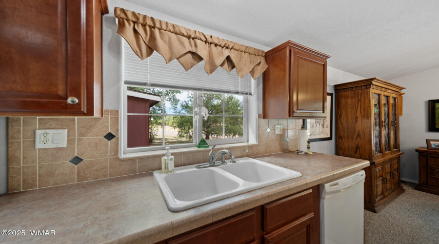Kitchen Sink View