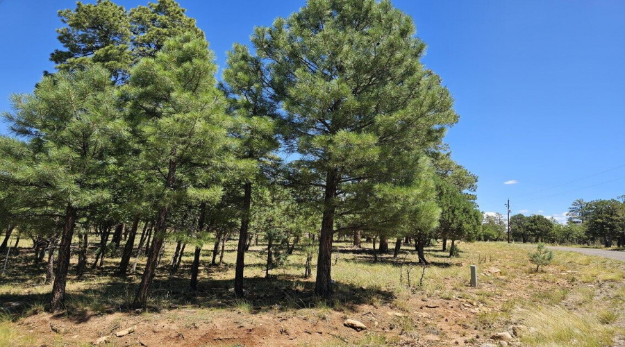 .83 Acres