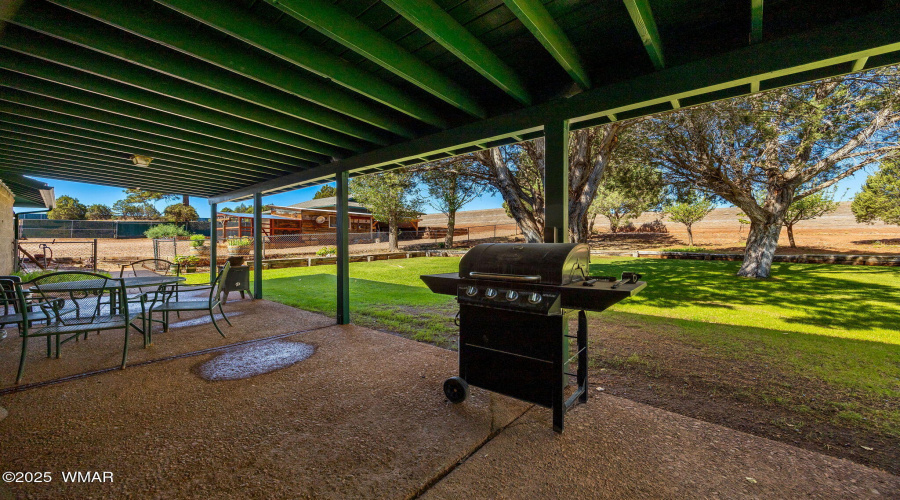 1030ChamberlainWay-ShowLow-AZ-23