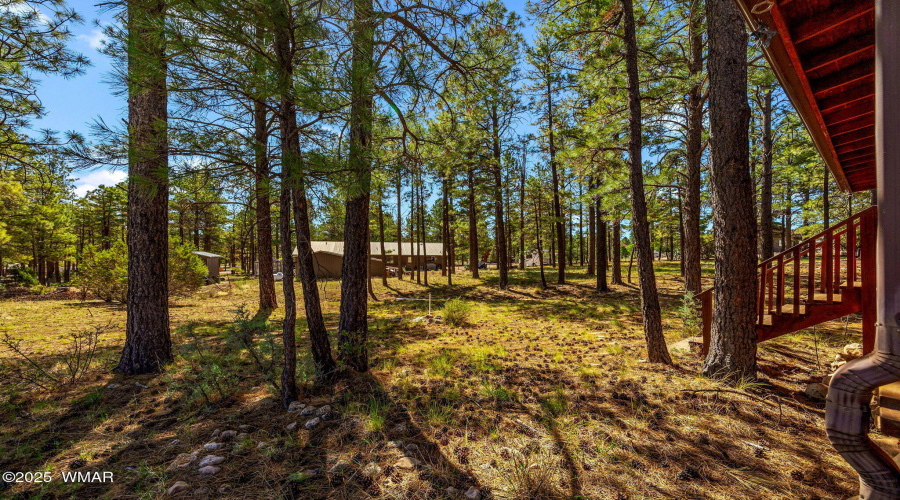 1850AnsellRd-Heber-AZ-29