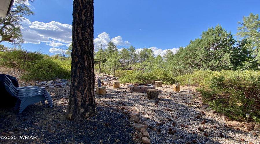 Tall Pines