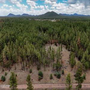 DJI_20250729145216_0041_D