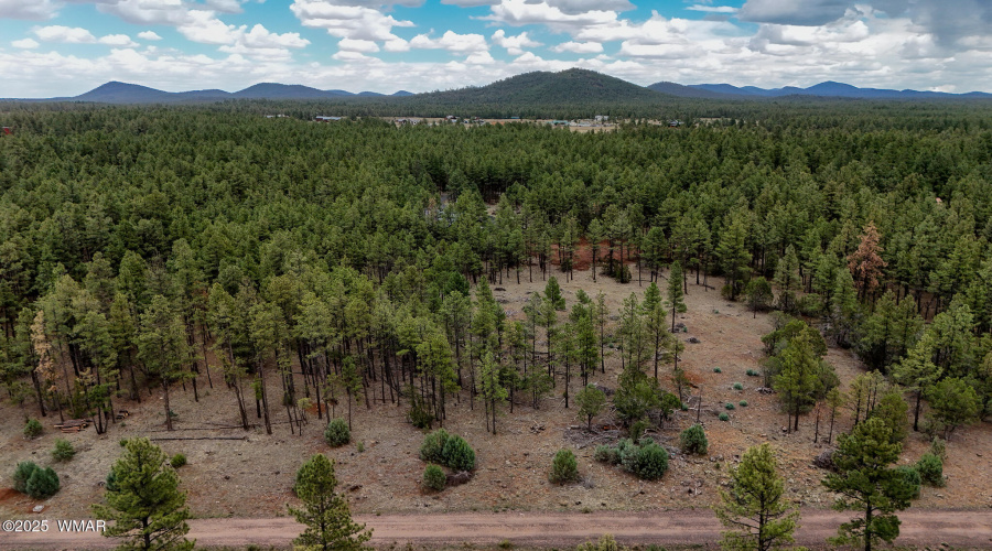 DJI_20250729145216_0041_D