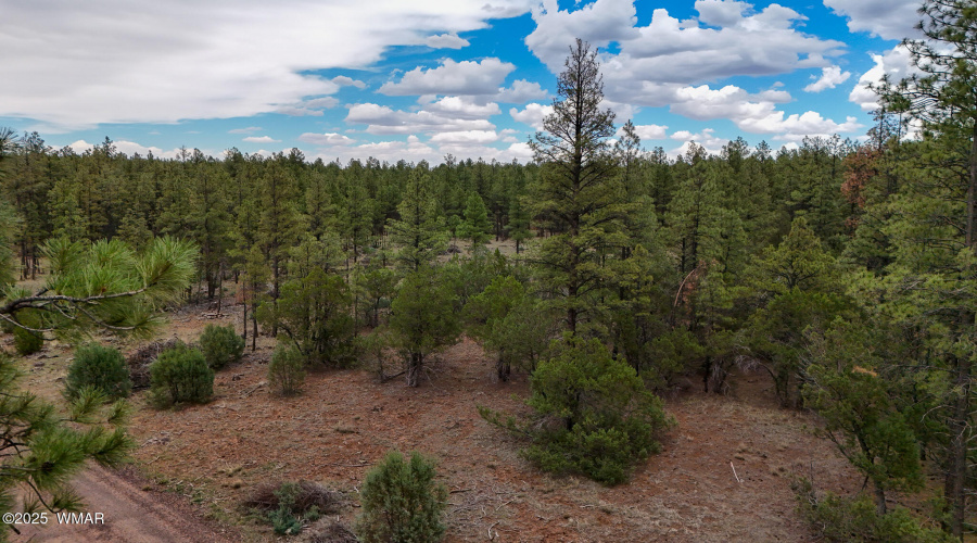 DJI_20250729145028_0038_D
