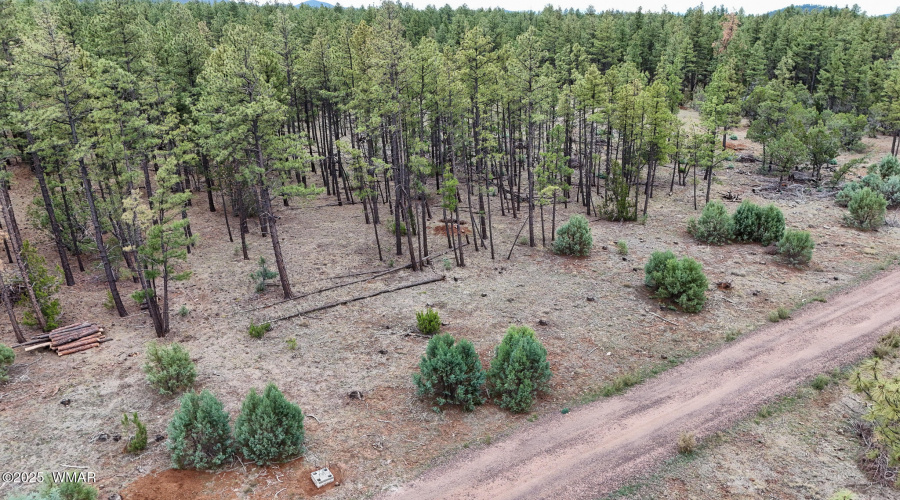 DJI_20250729145120_0039_D