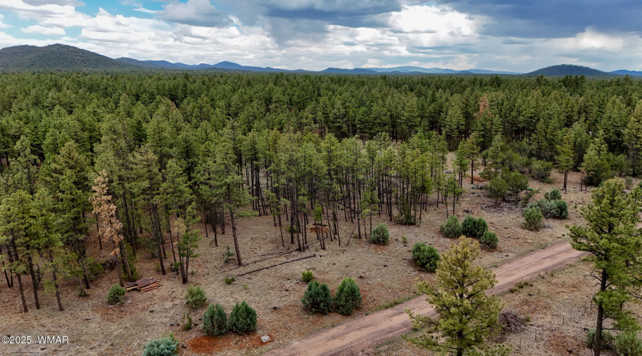 DJI_20250729145131_0040_D