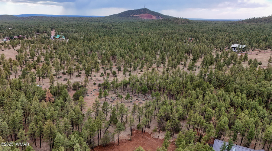 DJI_20250729145341_0043_D