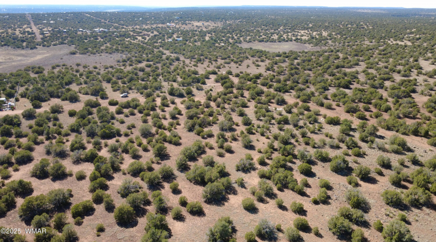 DJI_0028