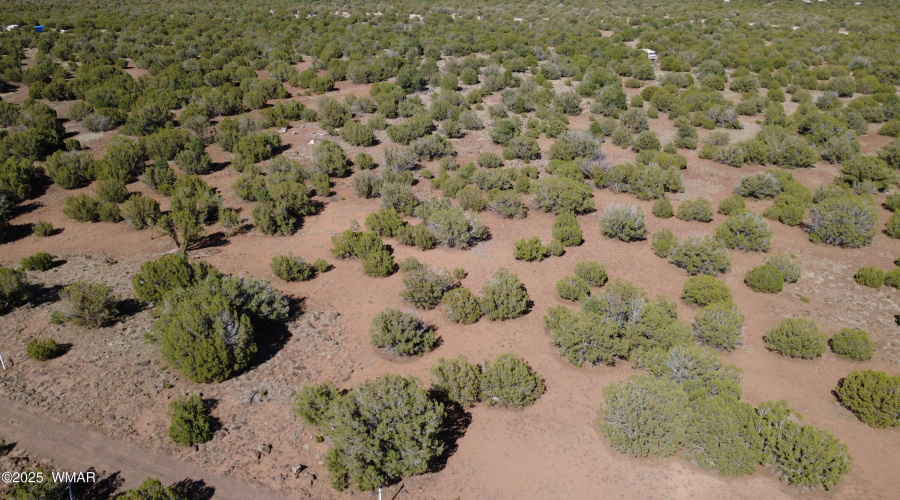 DJI_0024