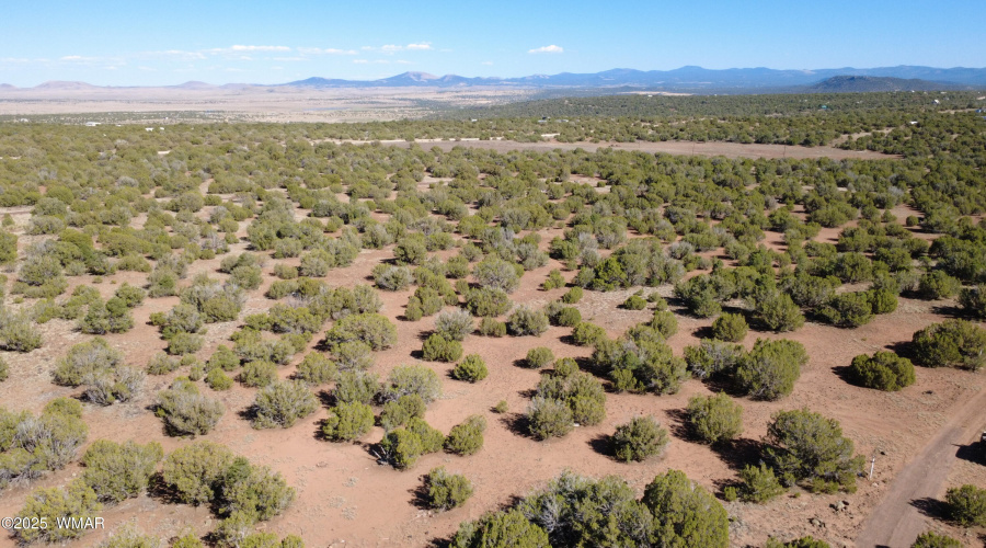 DJI_0025