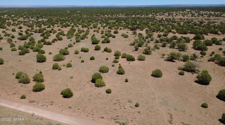 DJI_0010