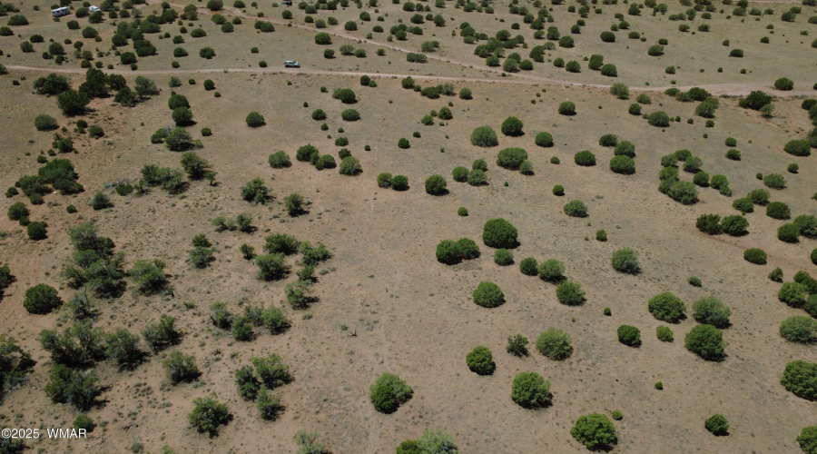 DJI_0013
