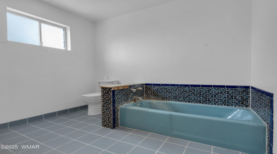 Primary tub