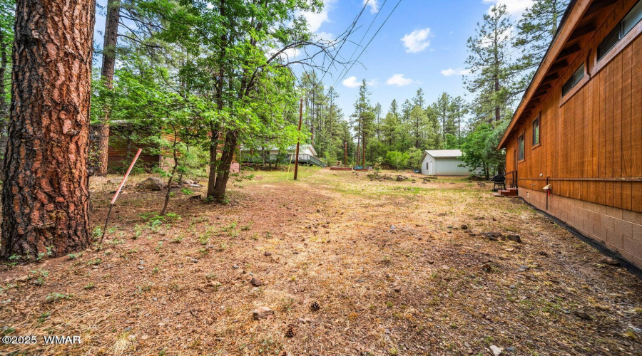 back yard