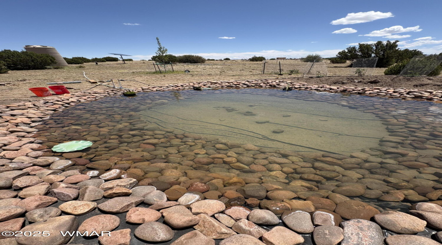 Pond