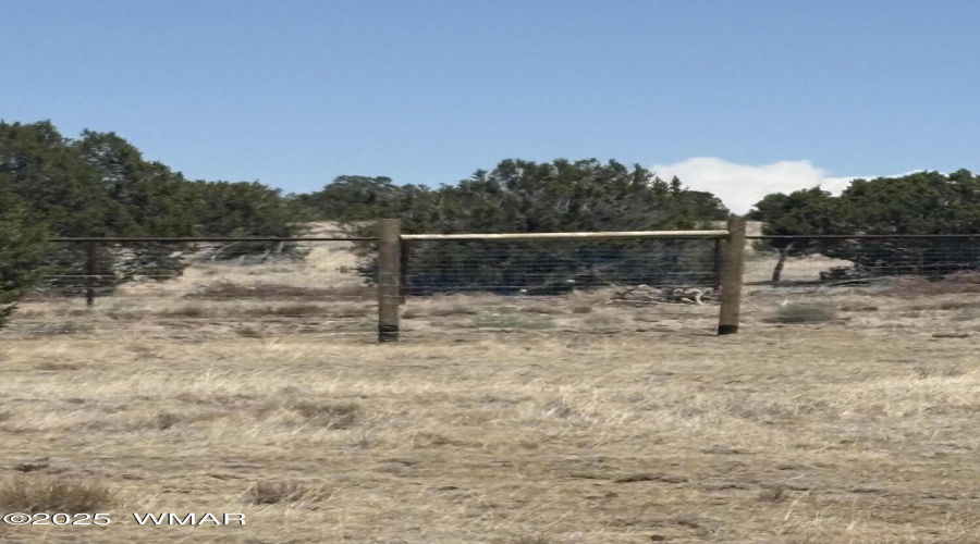 Fence
