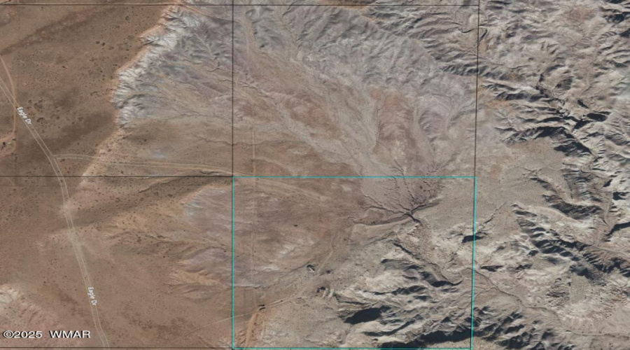 Screenshot 2025-07-08 123319