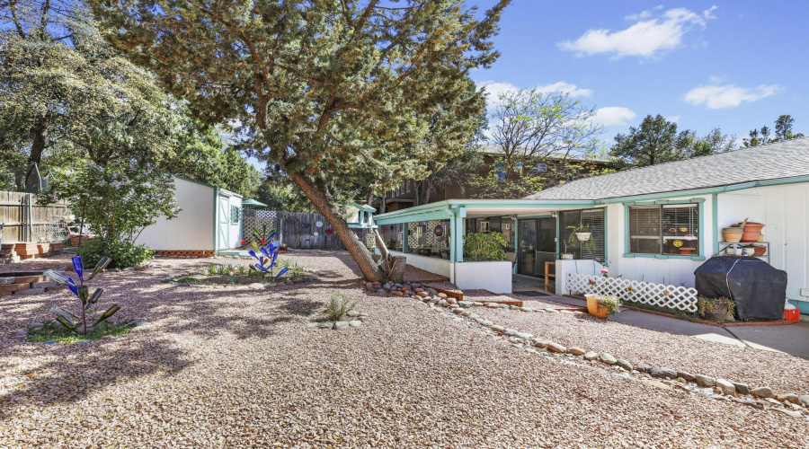 Backyard 11E0A0611